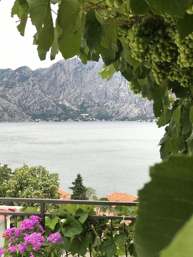 Vasko & Jana Lägenhet Kotor Exteriör bild